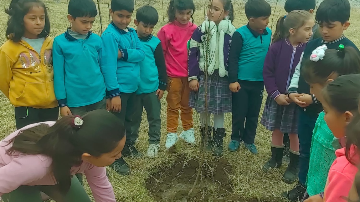 OKULUMUZDA ÇEVRE KORUMA BİLİNCİ KAPSAMINDA FİDAN DİKİMİ YAPILDI